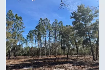 11901 NE 150th Ave Road, Fort Mc Coy, FL 32134 - Photo 9