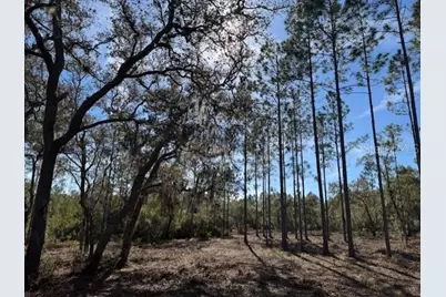 11901 NE 150th Ave Road, Fort Mc Coy, FL 32134 - Photo 5