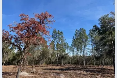 11901 NE 150th Ave Road, Fort Mc Coy, FL 32134 - Photo 3