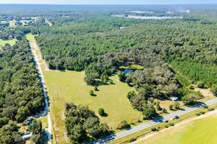 12146 E Hwy 318, Fort Mc Coy, FL 32134 - Photo 43