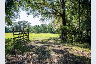 12146 E Highway 318, Fort Mc Coy, FL 32134 - Photo 39