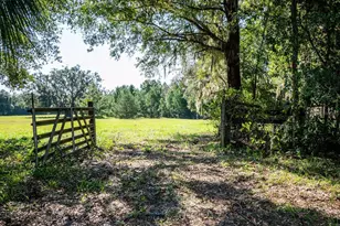 12146 E Hwy 318, Fort Mc Coy, FL 32134 - Photo 39