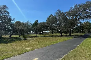 9437 N Singapore Ave, Dunnellon, FL 34433 - Photo 55