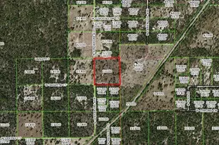 9437 N Singapore Ave, Dunnellon, FL 34433 - Photo 59