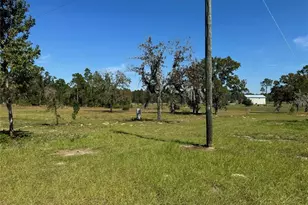 9437 N Singapore Ave, Dunnellon, FL 34433 - Photo 53