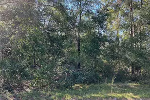 Tbd NE 138th Terrace, Williston, FL 32696 - Photo 1