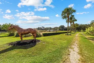 4520 NW 95th Ave Rd, Ocala, FL 34482 - Photo 35