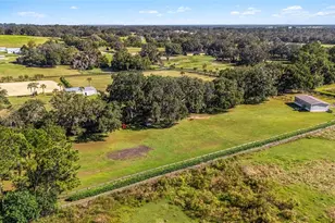 4520 NW 95th Ave Rd, Ocala, FL 34482 - Photo 59