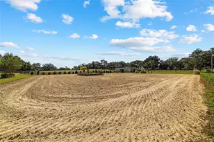 4520 NW 95th Ave Rd, Ocala, FL 34482 - Photo 37