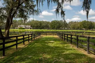 11901 NW 83rd Terrace, Reddick, FL 32686 - Photo 31