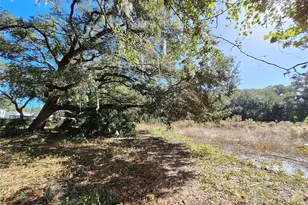 1210 SE 174th Ave, Silver Springs, FL 34488 - Photo 49