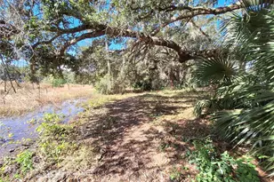 1210 SE 174th Ave, Silver Springs, FL 34488 - Photo 7