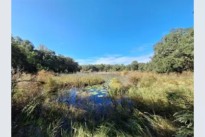 1210 SE 174th Avenue, Silver Springs, FL 34488 - Photo 39