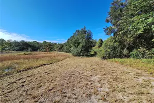 1210 SE 174th Ave, Silver Springs, FL 34488 - Photo 47