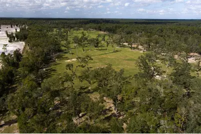 Tbd NW 130th Avenue, Ocala, FL 34482 - Photo 15