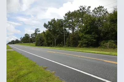 Tbd NE State Road 121, Williston, FL 32696 - Photo 5