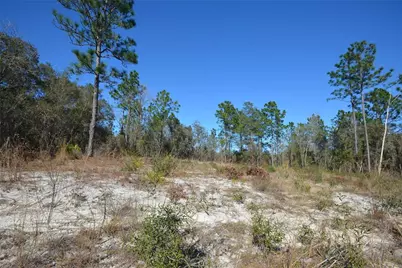 Sw 144 Place, Ocala, FL 34473 - Photo 1