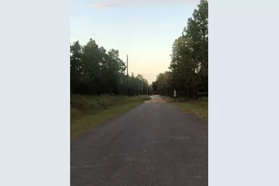 Sw Obee Ridge Rd, Dunnellon, FL 34431 - Photo 3