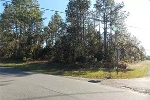 9432 N Cherry Lake Dr, Citrus Springs, FL 34433 - Photo 1