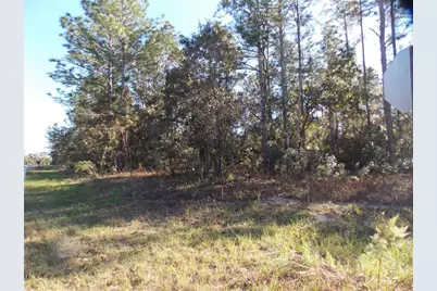 9432 N Cherry Lake Drive, Citrus Springs, FL 34433 - Photo 3