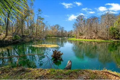 3097 NE 102nd Avenue Road, Silver Springs, FL 34488 - Photo 65