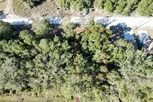 Tbd NW 52nd Ave, Ocala, FL 34482 - Photo 1