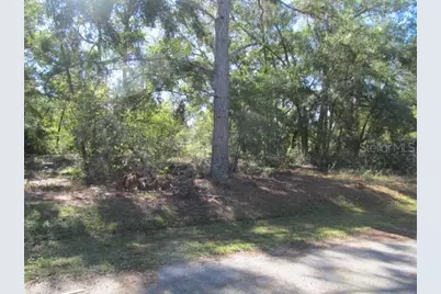 00 SE 169th Court, Ocklawaha, FL 32179 - Photo 3
