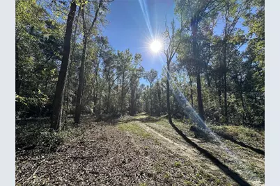 55Ac W Hwy 318, Reddick, FL 32686 - Photo 7