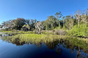 45202 Nfs Rd 572-B, Altoona, FL 32702 - Photo 41