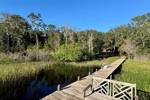 45202 Nfs Rd 572-B, Altoona, FL 32702 - Photo 43