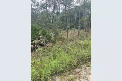 Lot 7 SW 159th Avenue, Ocala, FL 34481 - Photo 1