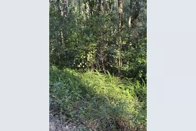 Tbd NW 7th Street, Ocala, FL 34482 - Photo 1