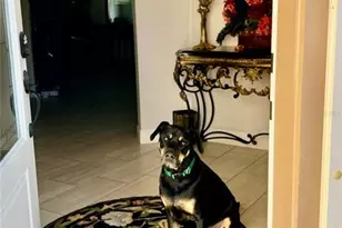 3642 NW 55th Cir, Ocala, FL 34482 - Photo 17