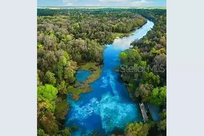 649 W Marguerita Drive, Citrus Springs, FL 34434 - Photo 5