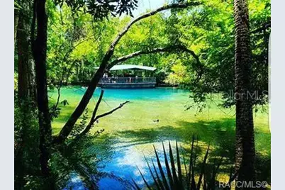 624 W Marguerita Drive, Citrus Springs, FL 34434 - Photo 5