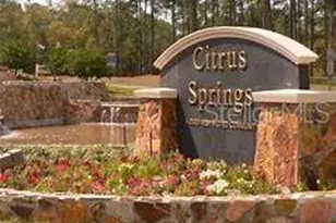 708 W Hallam Dr, Citrus Springs, FL 34434 - Photo 9