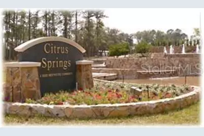 641 W Marguerita Drive, Citrus Springs, FL 34434 - Photo 7