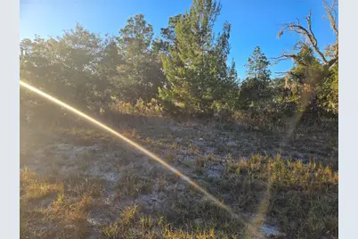 Tbd SW 88 Court, Ocala, FL 34473 - Photo 1