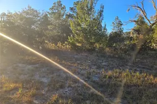 Tbd SW 88 Ct, Ocala, FL 34473 - Photo 1