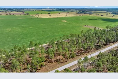 Blk 35, Lot 25 NW Buena Vista Road, Dunnellon, FL 34431 - Photo 1