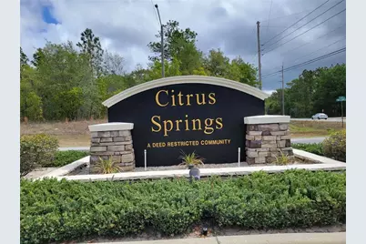 3930 W Fireside Lane, Citrus Springs, FL 34433 - Photo 1