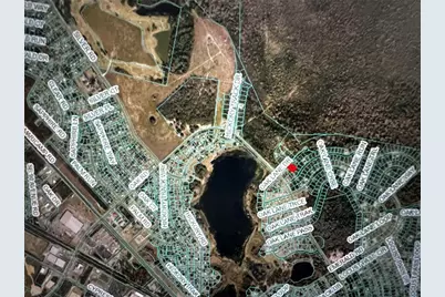 293 Oak Lane Drive, Ocala, FL 34472 - Photo 7