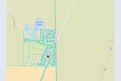 0 SE 309 Avenue, Altoona, FL 32702 - Photo 3
