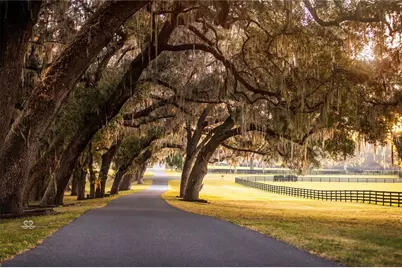 6800A NW 193rd Street #Option 1, Micanopy, FL 32667 - Photo 13