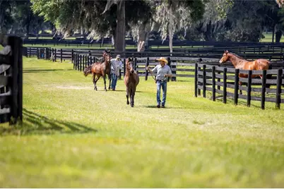 6800A NW 193rd Street #Option 1, Micanopy, FL 32667 - Photo 19