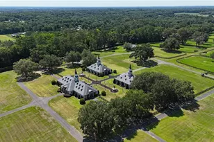 6800A NW 193rd St, Micanopy, FL 32667 - Photo 31