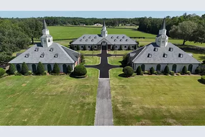 6800A NW 193rd Street #Option 1, Micanopy, FL 32667 - Photo 7