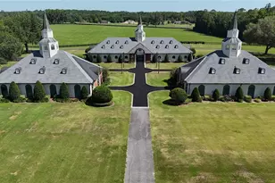 6800A NW 193rd St, Micanopy, FL 32667 - Photo 7