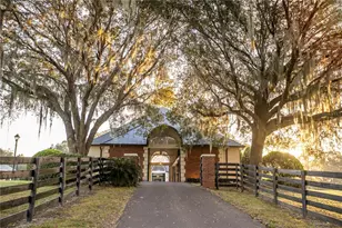 6800A NW 193rd St, Micanopy, FL 32667 - Photo 15