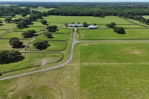 6500 SE 193rd St, Micanopy, FL 32667 - Photo 45